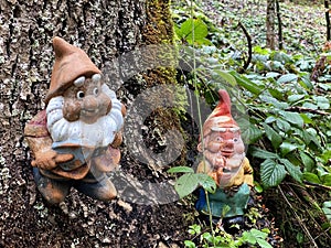 Miniature figurines of dwarfs at the base of a tree and in a natural forest environment, SchÃ¶nenberg Schoenenberg - Switzerland