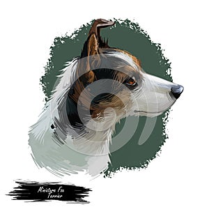 Miniature fox terrier hunting and working dog digital art illustration. Canine portrait, profile closeup of lightweight