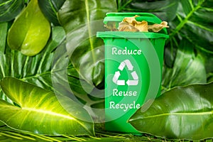 A miniature green garbage bin among beautiful wild greenery with three main words of ecology consumption. lettering slogan Reduce