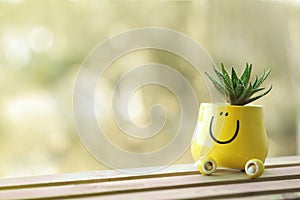 Miniature green succulent in funny yellow pot with face smile.