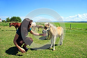 miniature horse and girl