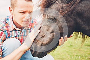 Miniature horses on the pasture