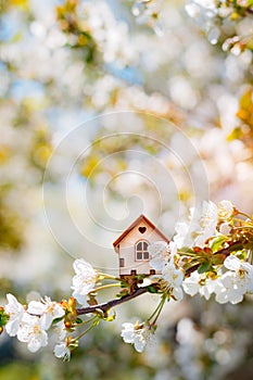 Miniature house on flowering branch close-up and copy space.