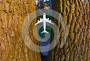 Miniature Mishap: Toy Plane Stuck in Tree Trunks