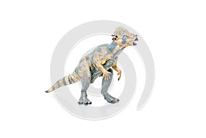 Miniature of Pachycephalosaurus toy dinosaur on white background