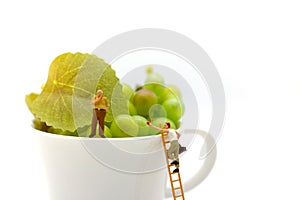 Miniature people: businessman eat at break time on cup with grape. Concept of Business talk Relex.