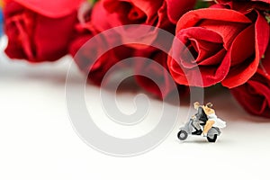 Miniature people : Couple of love with red rose,Lover or valentine`s day concept