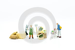 Miniature people: Direct Channel for sell product to consumer. I