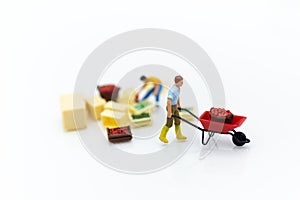 Miniature people : Gardeners harvesting of agricultural crops. Image use for transportation, logistic , supply chain concept.