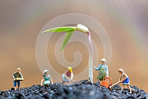 Miniature people , Gardeners take care growing sprout in field