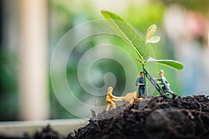 Miniature people team works to inspect and plant trees