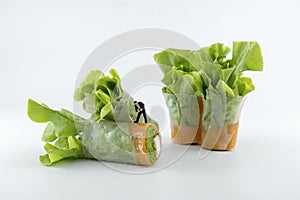 Miniature people worker digging into the salad of fresh vegetables rolls