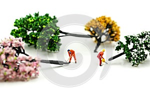 Miniature people : worker using a chainsaw to cut down a large beech tree, Deforestation concept