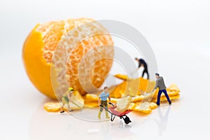 Miniature people : Workers are peeling orange peels. Image use for teamwork, business concept photo