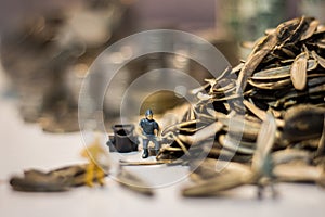 Miniature people : Workers work on the sunflower seed production process