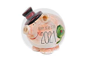 Miniature pig isolated with happy new year 2021 and german translation frohes neues jahr 2021