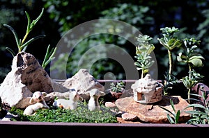 Miniature pot garden