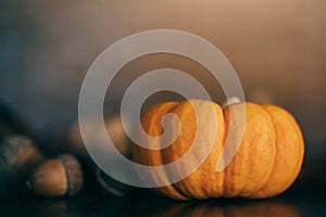 A miniature pumpkin and acorns and fall leaves for a rustic autumn Thanksgiving background with copy space