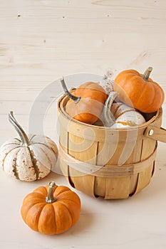 Miniature Pumpkins