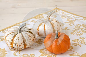 Miniature Pumpkins