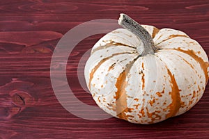 Miniature Pumpkins