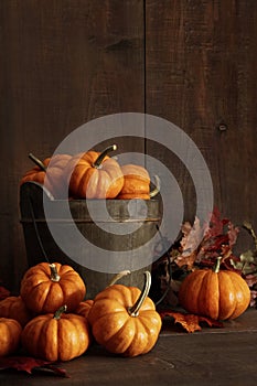 Miniature pumpkins on wooden table