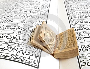 Miniature Quran