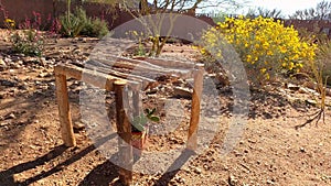 Miniature Ramada Shading Prickly Pear and Desert Flowers