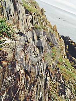 Miniature rock formations on the Irish beaches