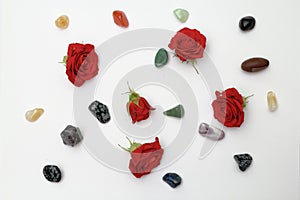 Miniature roses with pebbles on a white background.