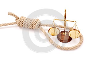 Miniature scale in halter