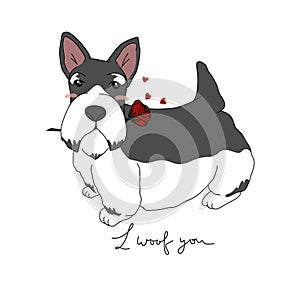 Miniature Schnauzer dog with rose in mouth and I woof you word cartoon illustration