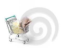 Miniature shopping cart filled with bags of buckwheat and millet