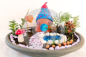 Miniature terrarium house with garden and pool