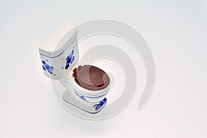 Miniature Toilet Insulated photo
