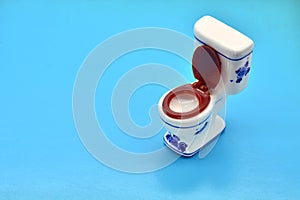 Miniature Toilet Insulated photo