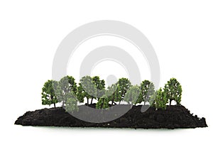 miniature trees in black earth