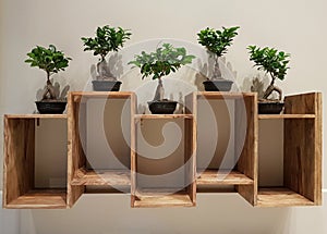 Miniature trees combined with a wooden shelf