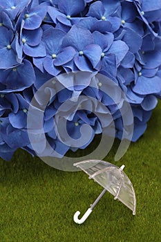 Miniature vinyl umbrella and hydrangea on lawn.