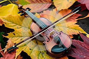 Miniature violin and bow against autumn leaves, symbolizing harmony between nature and art