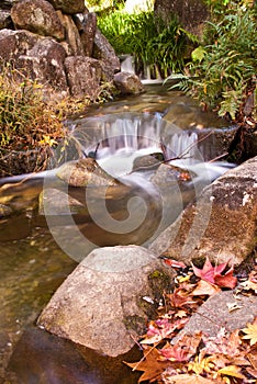 Miniature waterfall and fall leaves