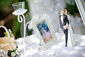 Miniature wedding doll with blur background.