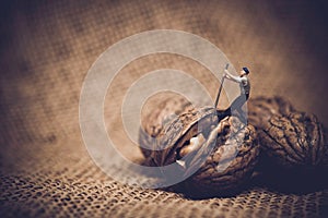 Miniature worker with a crowbar trying to open a walnut photo