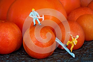 A Miniature Worker On Top Of A Cherry Tomato And Another Miniature Worker Climbing Up A Ladder