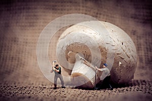 Miniature workers cutting down gian mushroom. Food concept. Color tone tuned