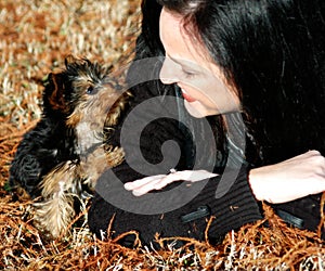 Miniature Yorkie Puppy