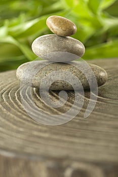 Miniature Zen Stones among Natureâ€™s Harmony