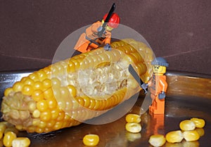Minifigures cuts corn grains 10