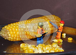 Minifigures cuts corn grains 15