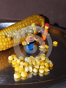 Minifigures cuts corn grains 16